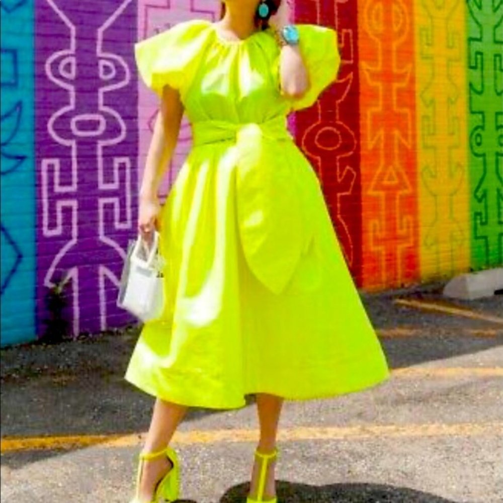 Christopher John Rogers for Target Puff Sleeve Tie Waist Volume Dress NWT